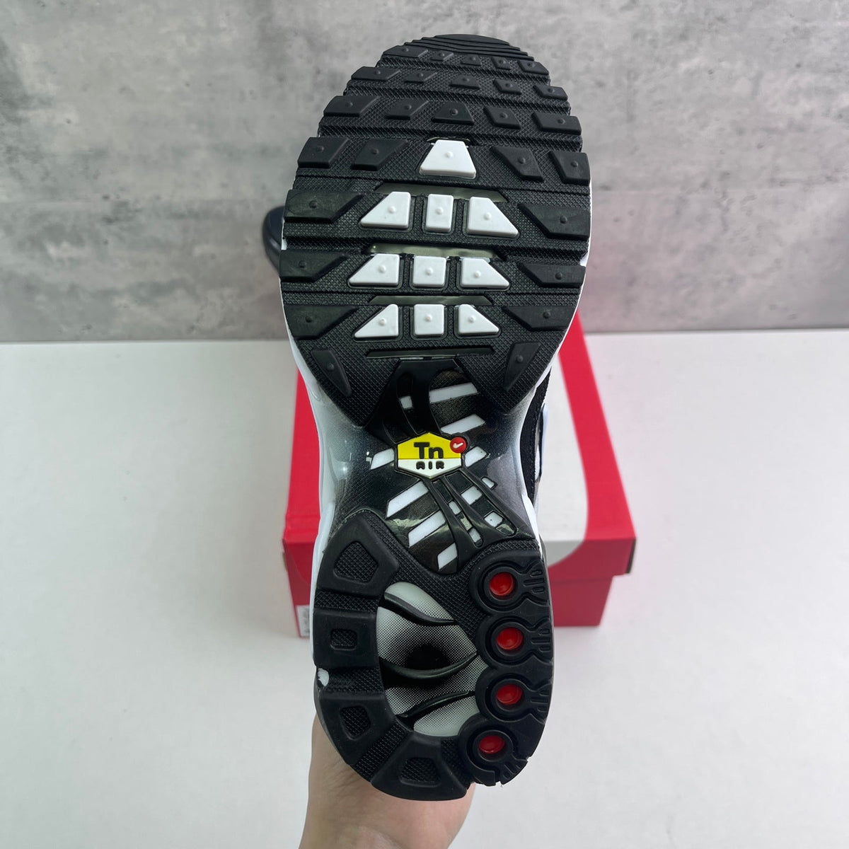 Nike Air Max Plus TN Gradient Black White Grey