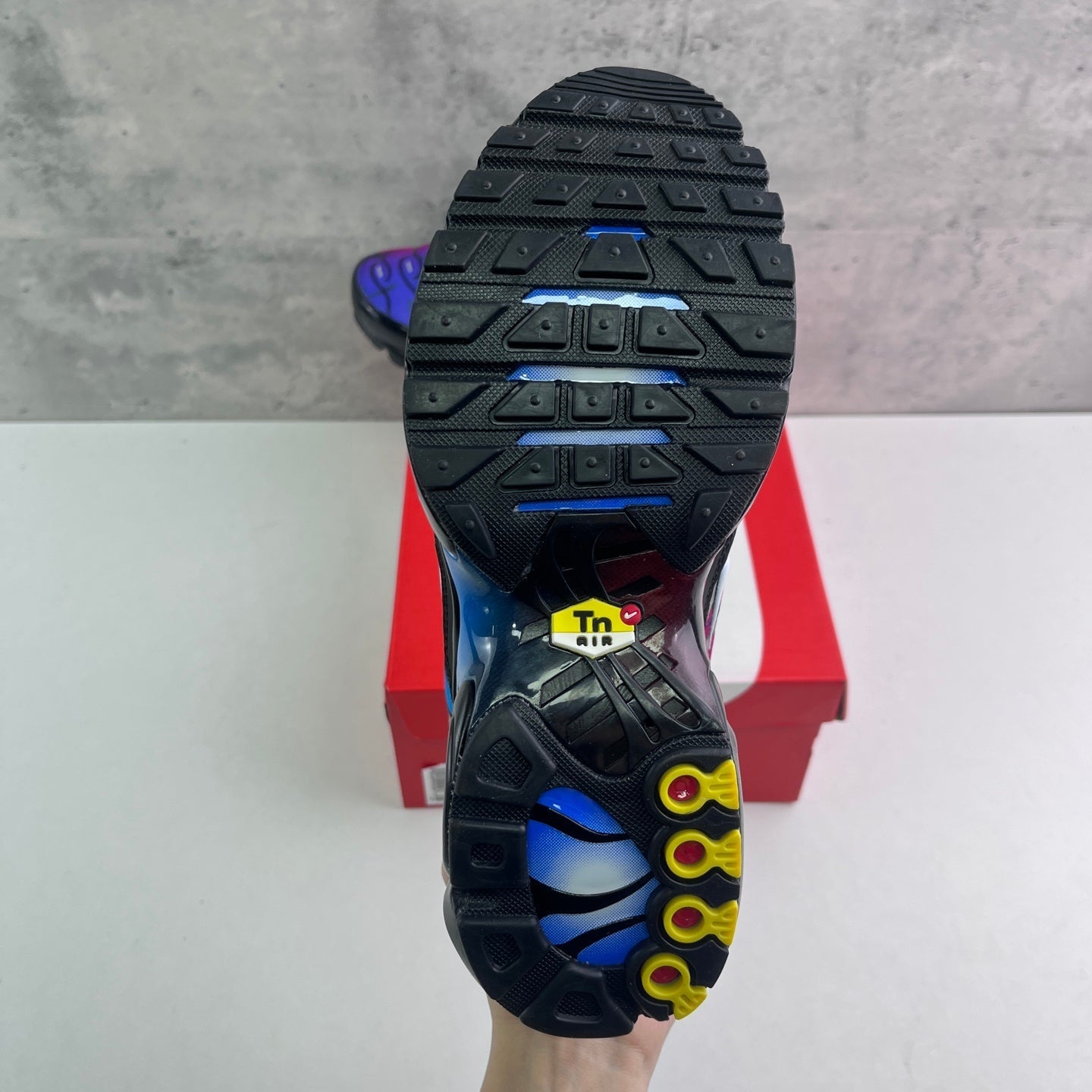 Nike Air Max Plus TN Gradient Anniversary