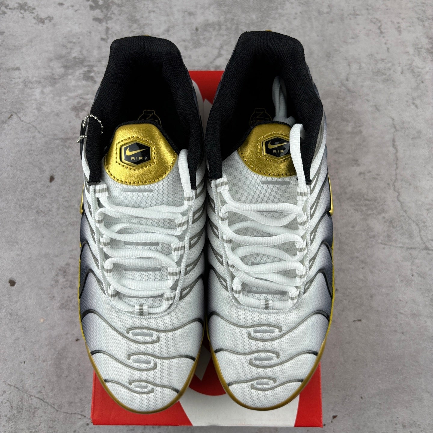 Nike Air Max Plus TN Gradient Black White Gold