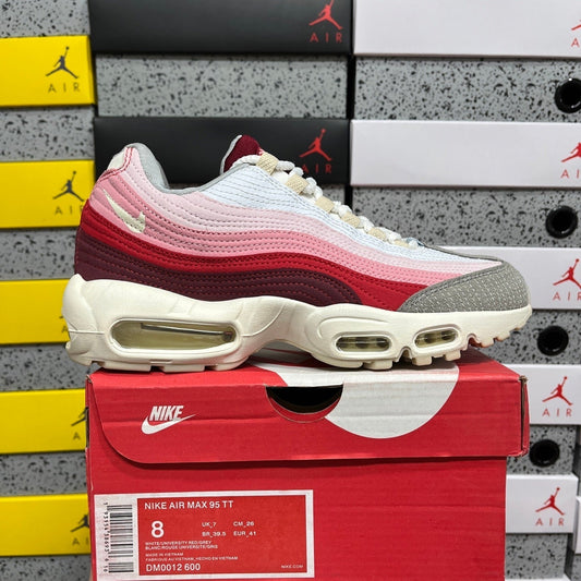 Nike Air Max 95 Anatomy of Air