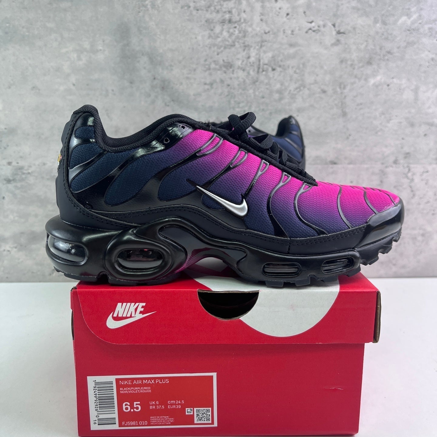 Nike Air Max Plus TN Gradient Navy Purple