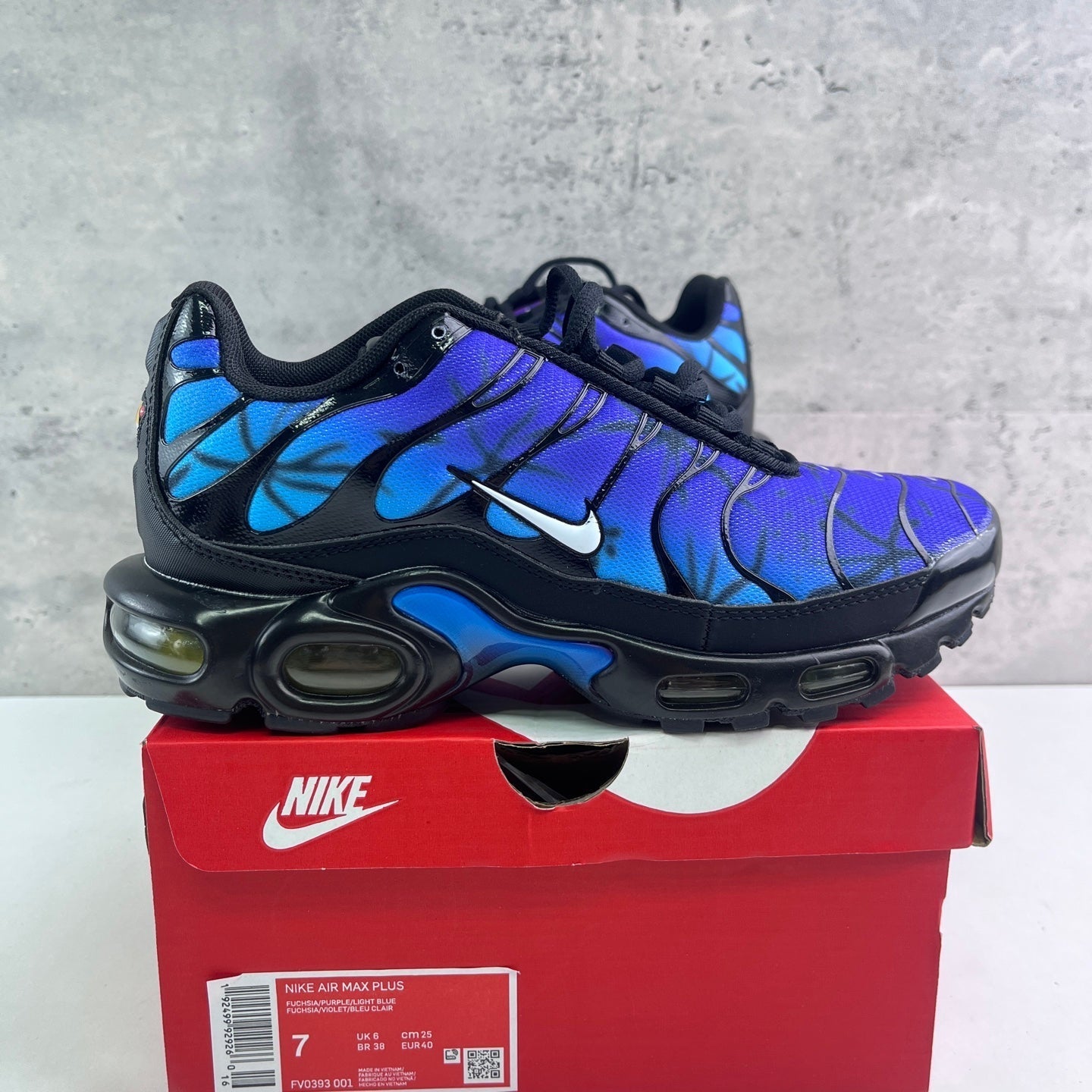 Nike Air Max Plus TN Gradient Anniversary