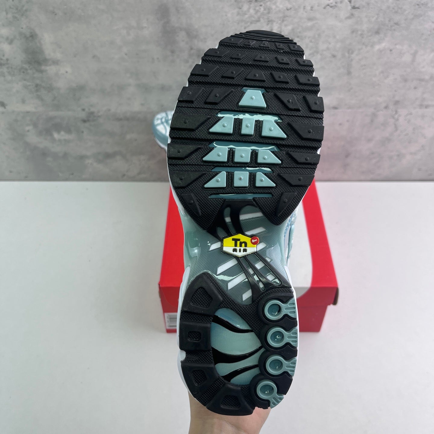 Nike Air Max Plus TN Waterway