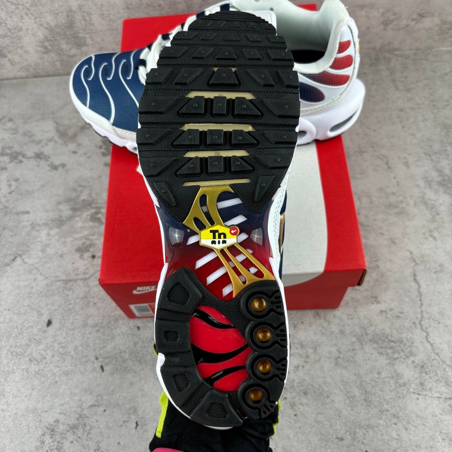 Nike Air Max Plus TN PSG