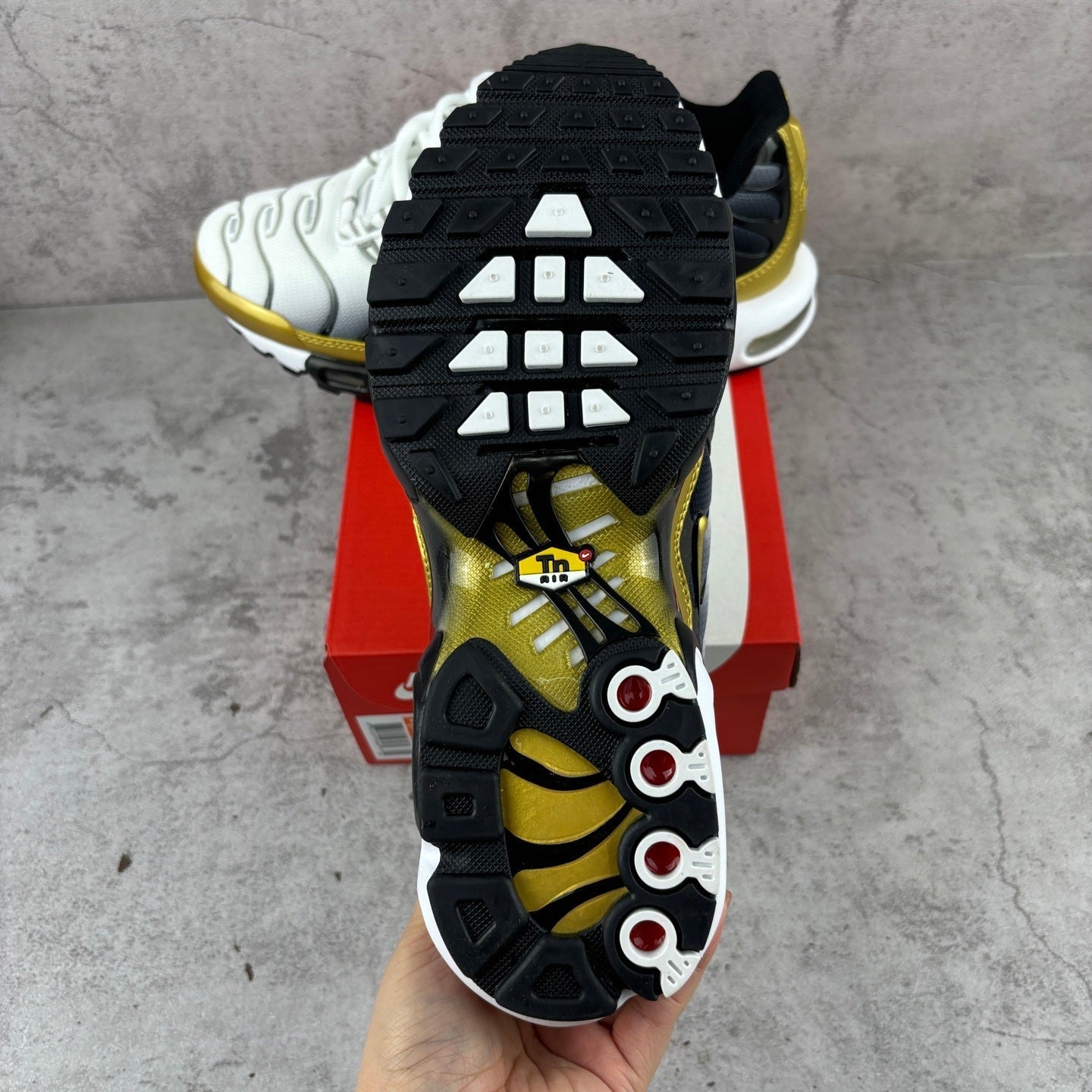 Nike Air Max Plus TN Gradient Black White Gold