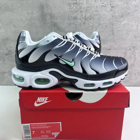 Nike Air Max Plus TN Gradient Black White Mint